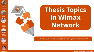 Thesis Topics in Wimax Network