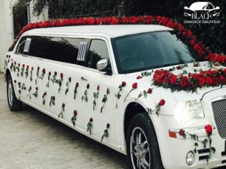 best Wedding Car Hire in Brisbane