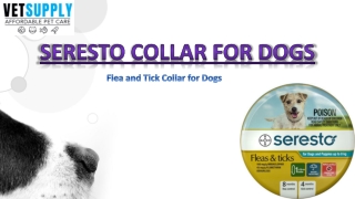 Seresto Flea and Tick Collar for Dogs | Pet Care | VetSupply