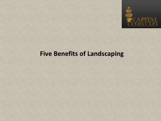 Five Benefits of Landscaping