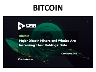 Most stable cryptocurrency to buy | Bitcoin Price | CMN News