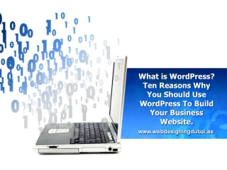 What is WordPress_ Ten Reasons Why You Should Use WordPress To Build Your Business Website _ Wordpress website design Du