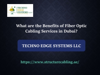 What are the Benefits of Fiber Optic Cabling Services in Dubai?