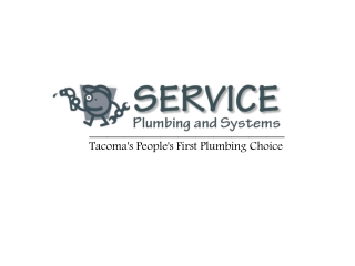 Plumbing Tacoma helps with home repair and maintenance