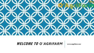 Acquire the price of badam at  O'AgriFarm
