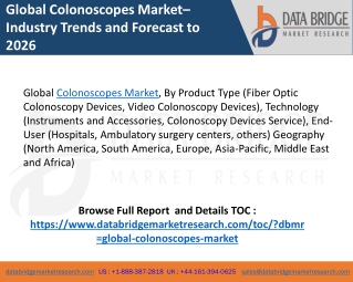 Colonoscopes Market