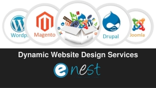 Dynamic Website Design Services