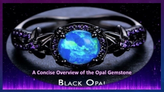 opal presentation 2