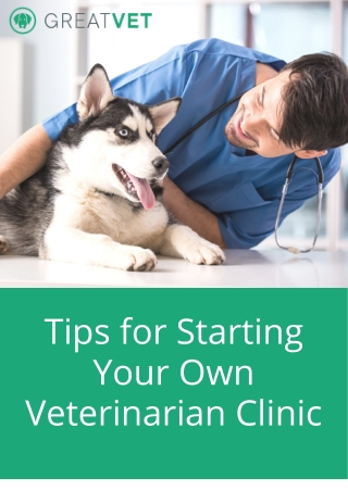 Tips for Starting Your Own Veterinarian Clinic