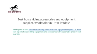 Best horse riding accessories and equipment supplier, wholesaler in Uttar Pradesh