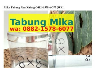 Mika Tabung Alas Kaleng Ö88ᒿ–1578–ᏮÖ77{WhatsApp}