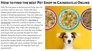 How to find the best Pet Shop in Gainesville Online by Down Town Tabby Pet Store