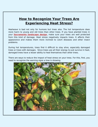 What Tips Should You Need to Reduce the Impact of Heat Stress on Trees?