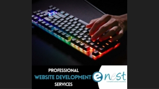 Website Designing Services