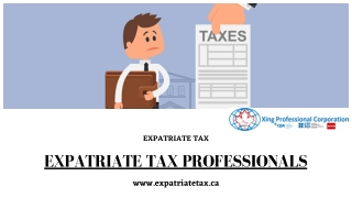 Best Expatriate Tax Professionals - Expatriate Tax