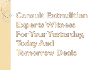 Consult Extradition Experts Witness For Your Yesterday, Today And Tomorrow Deals