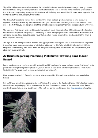 Obvious Evidence That You Need Magical Pink Runtz Pot Strain