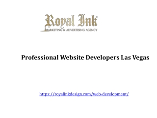 Professional Website Developers Las Vegas