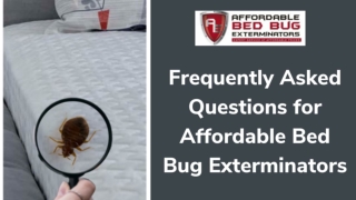 Frequently Asked Questions for Affordable Bed Bug Exterminators