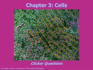 Chapter 3: Cells