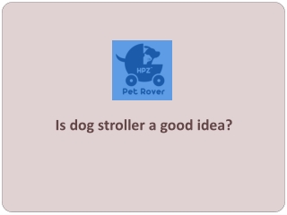 Is dog stroller a good idea?