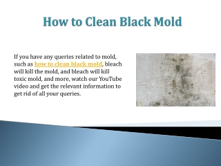 How to Clean Black Mold