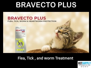 Bravecto Plus for Cats - Flea, Tick, and Worm Treatment | Pet Care | VetSupply