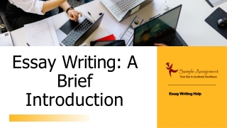  Essay Writing Help - Hire the Best Essay Writer Online! - Sample Assignment