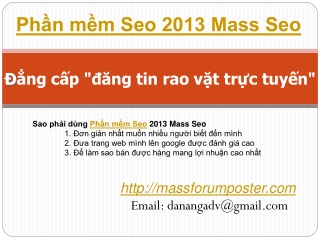 phần mềm seo 2013 mass seo