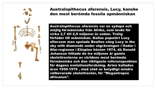 Människans utveckling