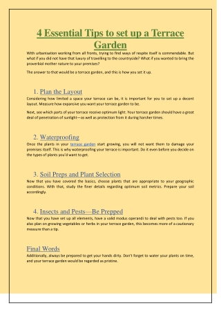 4 Essential Tips to set up a Terrace Garden