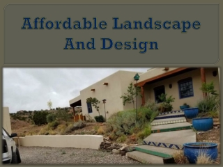 Affordable Landscape And Design