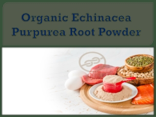 Organic Echinacea Purpurea Root Powder