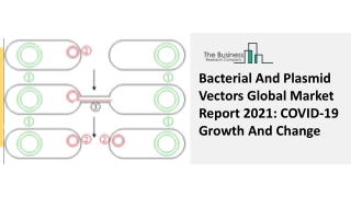 Bacterial And Plasmid Vectors Market Overview, Scope, Segmentation Forecast 2030