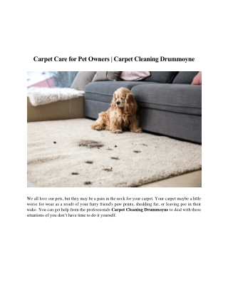 Carpet Care for Pet Owners - Carpet Cleaning Drummoyne