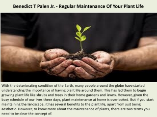 Benedict T Palen Jr. - Regular Maintenance Of Your Plant Life