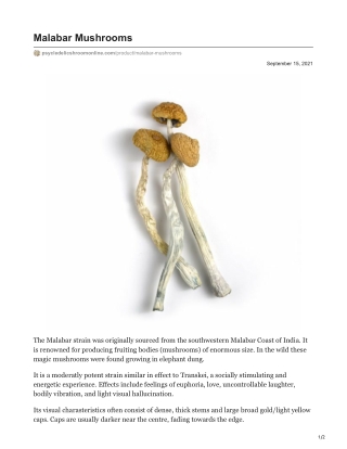 Malabar Mushrooms