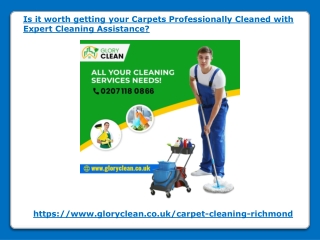 Carpets Cleaned with Expert Cleaning Assistance