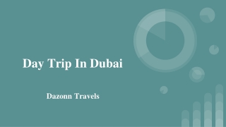 Day Trip In Dubai