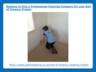 Reasons to Hire a Professional Cleaning Company