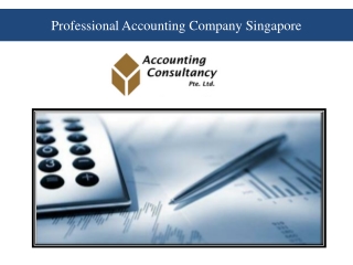 Professional Accounting Company Singapore