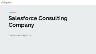 Salesforce Consulting Company