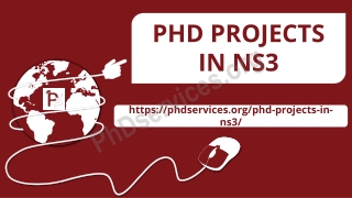 PHD PROJECTS IN NS3
