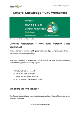 UKG Worksheet - General Knowledge UKG and Nursery Class Worksheet