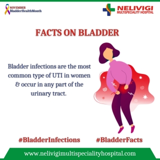 Facts On Bladder | Best Urology Hospitals in Bangalore | Nelivigi Urology