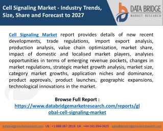 Cell Signaling Market