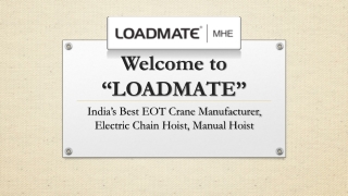Industrial Crane Manufacturers In India | Loadmate.in