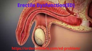 ED PPT