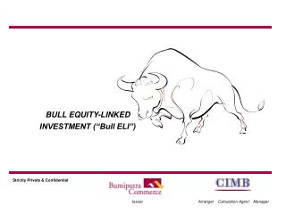 BULL EQUITY-LINKED INVESTMENT (“Bull ELI”)