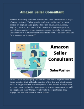 Amazon Seller Consultant
